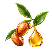 Ellips Jojobaolja